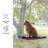 PETMAKER Cat Window Perch for Large Cats, Black