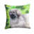 Chien de garde de Moscou