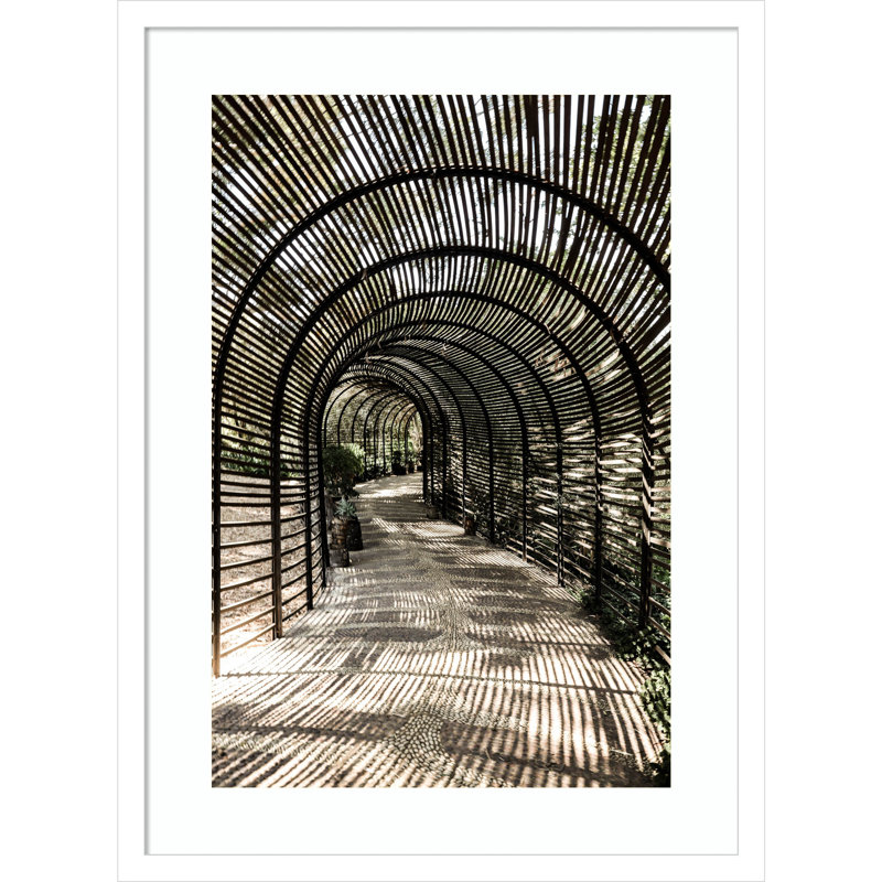 Nihan Shadow Garden by Shot by Clint Wood Framed Wall Art Print, White , 25" H x 19" W