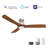 Latitude Run® 52" Smart Ceiling Fan With Remote, Light Kit Included,Works With Google Assistant And Amazon Alexa,Siri Shortcut.