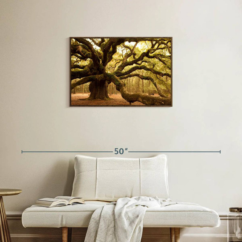 Mossy Ancient Oak Tree, Floating Frame Walnut, 31" X 21"