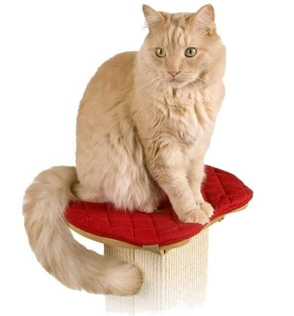 Acle Scratching Post