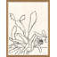 Sedum Giclee Print by Susan Hable