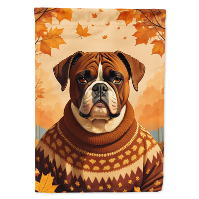 Drapeau Boxer Fall House