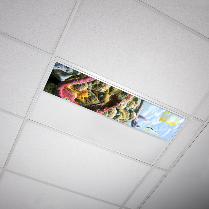 Couvre-lumière décoratif flexible océan