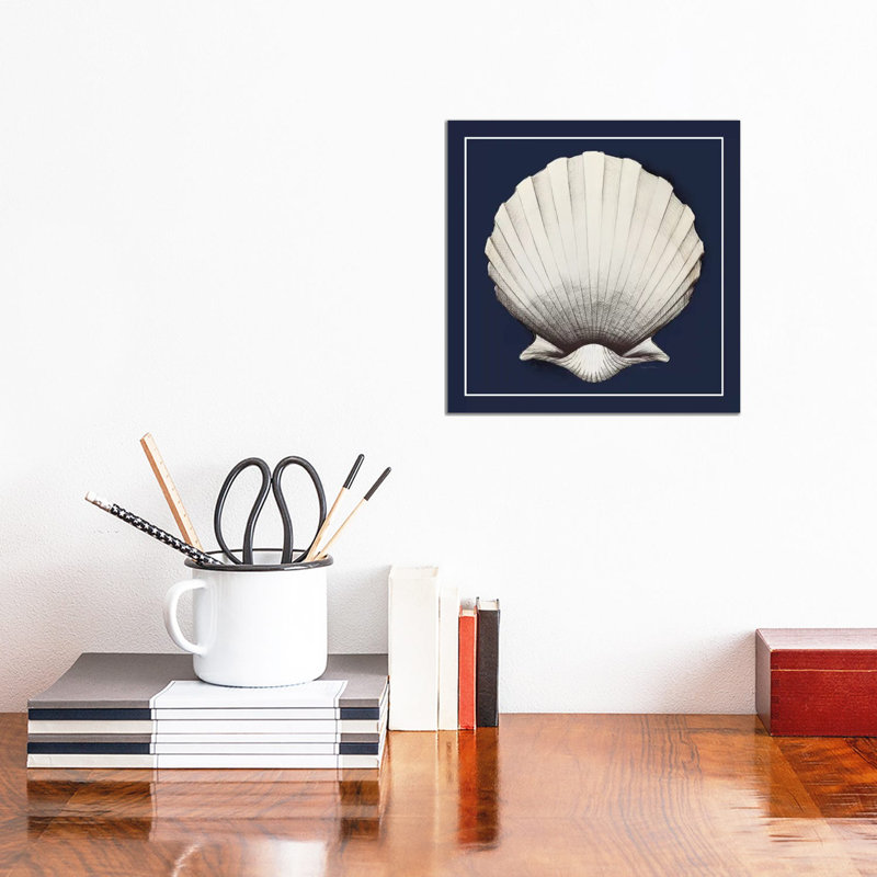 Coastal Shell II With Border - Wrapped Canvas Print, 30.48cm H x 30.48cm W x 1.9cm D