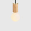 Sphere 1 - Light Pendant