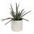 19'' Faux Aloe Plant in Ceramic Pot