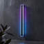 Chrome Integrated LED Outdoor Wall Lantern-107286337