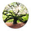 Tree Of Strength Print-1379163441