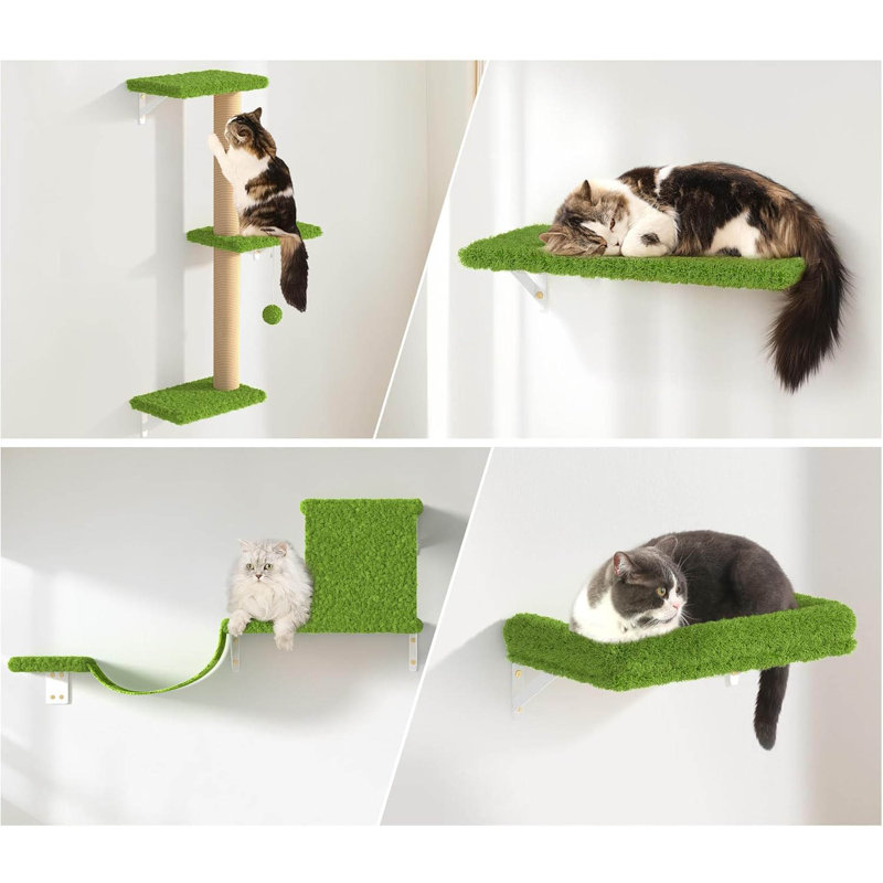 Cat Perch, Green