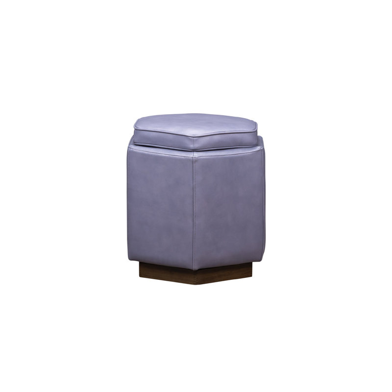 Chit Chat  Swivel Ottoman in Anniston Tangerine, Anderson Pebble