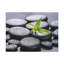 No Frame Print on Canvas-1499025168