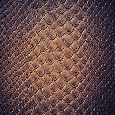 " Snake Skin Leather "