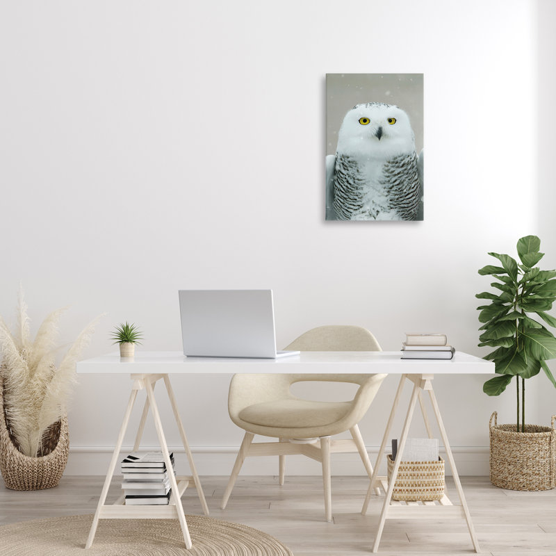 Toile «Snowy Owl» par Carrie Ann Grippo-Pike, H 30 po x l 20 po x P 1,5 po