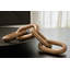 Sculpture Pattianne-98618622