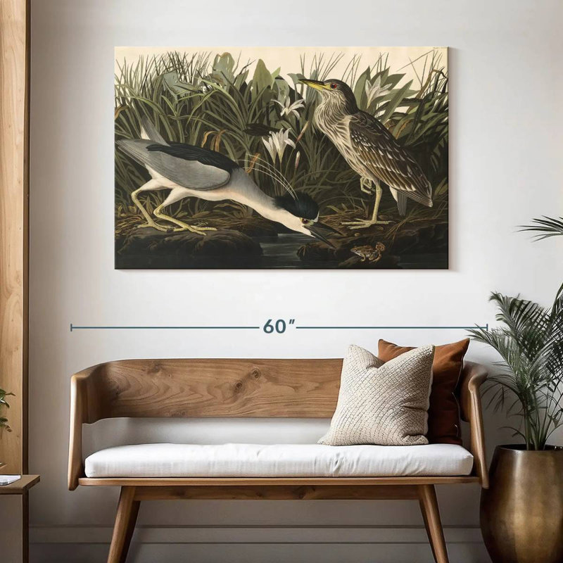 Héron nocturne des oiseaux d'Amérique, H 32 po x l 48 po