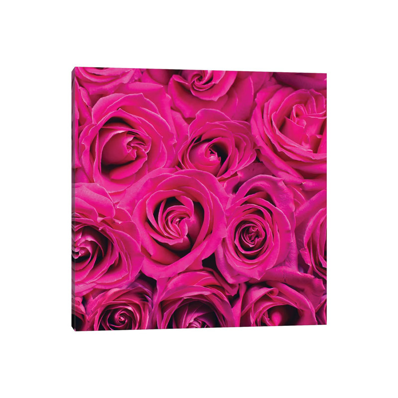 Paris Rose III by Kimberly Allen - Wrapped Canvas Print, 30.48 cm H x 30.48 cm W