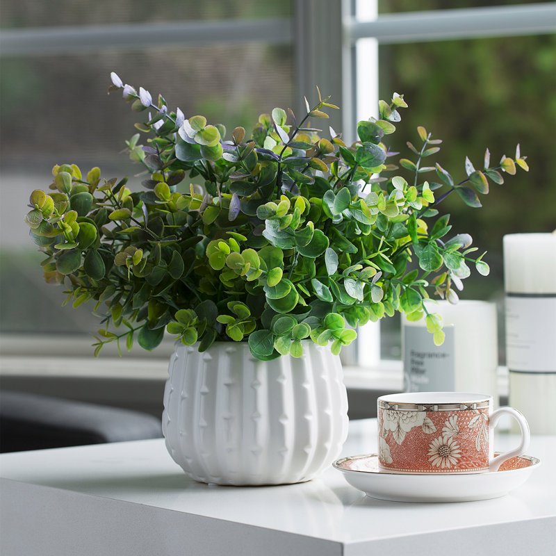 Herbe d'eucalyptus en pot 10 po, Mauve / Vert