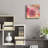 " Succulents 02 " by Lightbox Journal-970898399