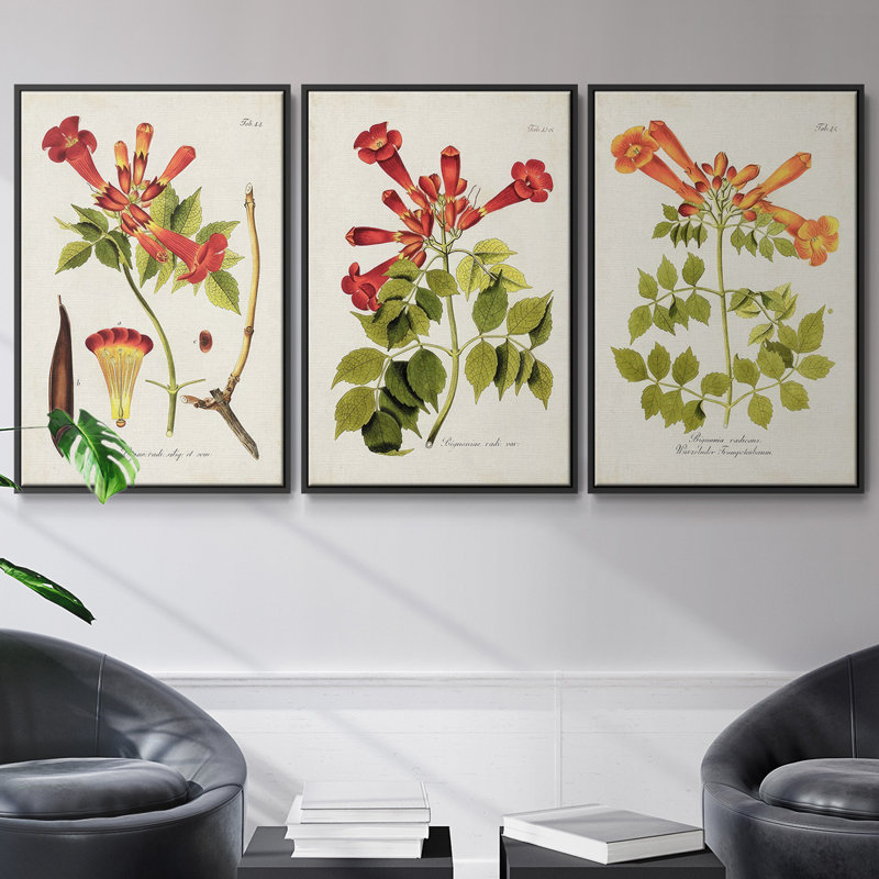 «Tropical Trumpet Flowers I», ensemble de 3 pièces encadrées sur toile, Noir, H 40 po x l 78 po