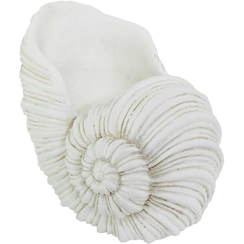 7" Cement Nautilus Shell Planter
