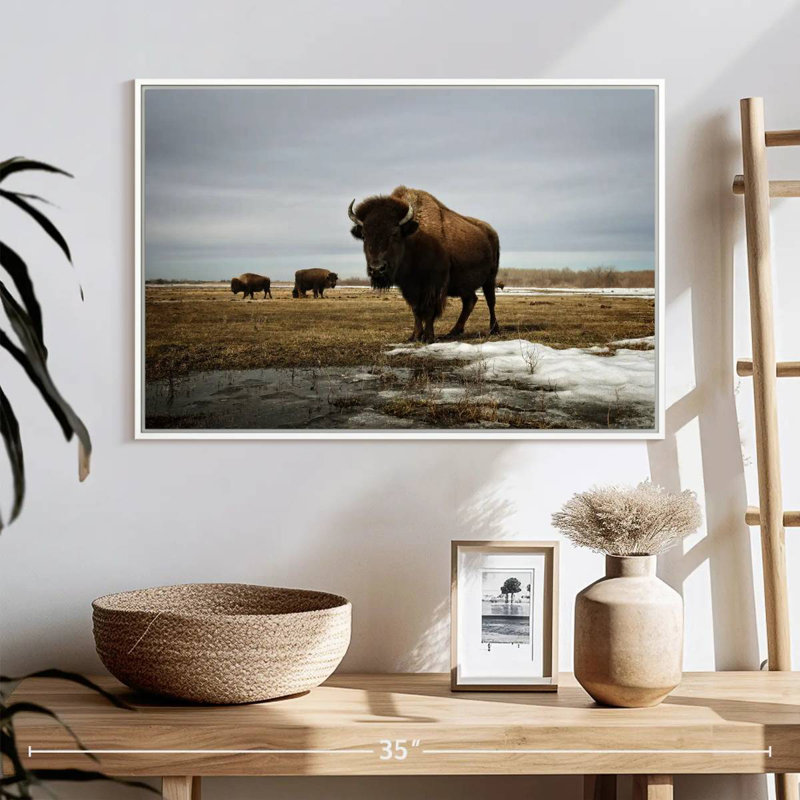 Bison Cloud Day, 25 po x 17 po, Cadre flottant blanc