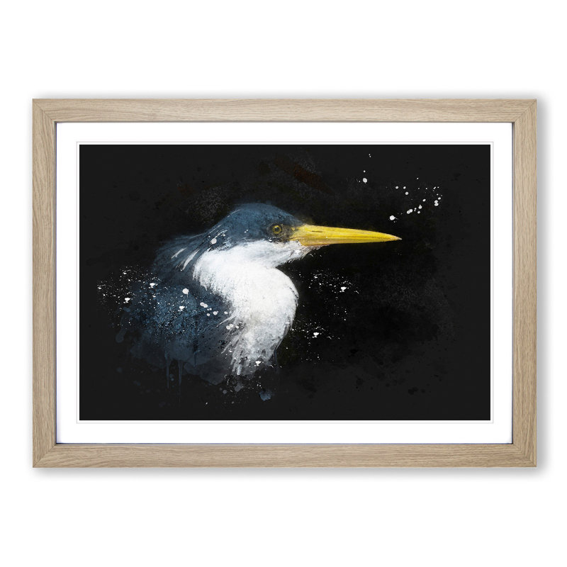 Pied Heron - Picture Frame Graphic Art Print, Oak Framed, 45cm H x 63cm W x 2cm D