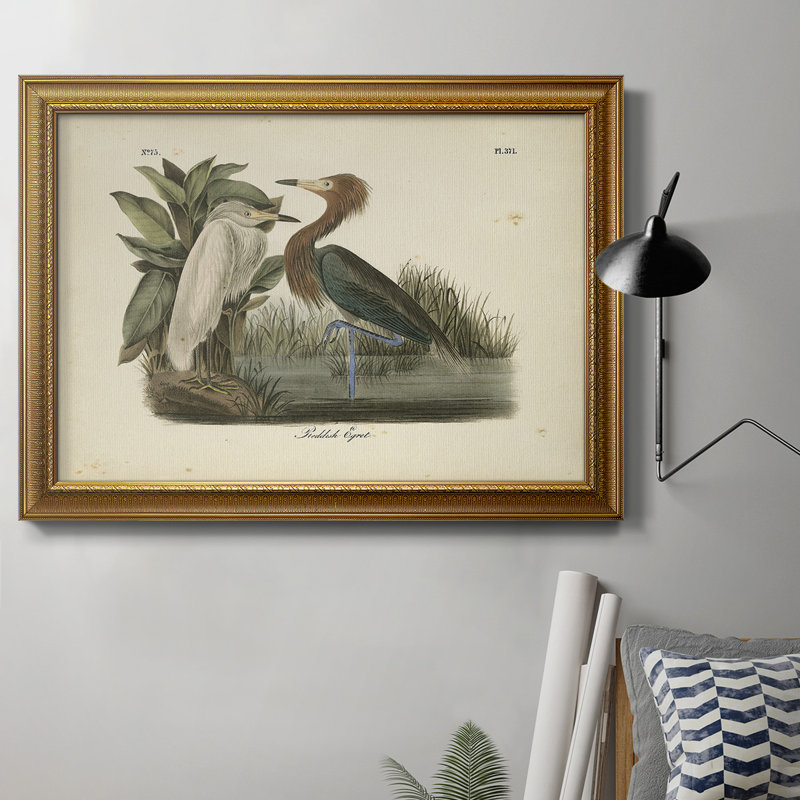 Audubons Reddish Egret - peinture sur toile encadrée, H 18 po x l 27 po