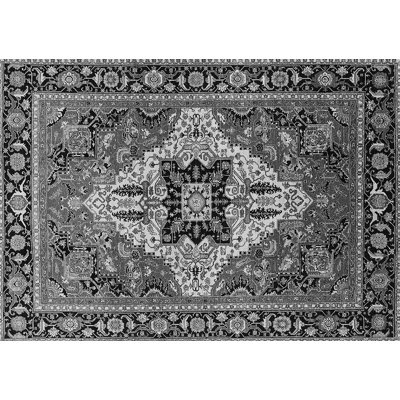 Performance Oriental Indoor Rug