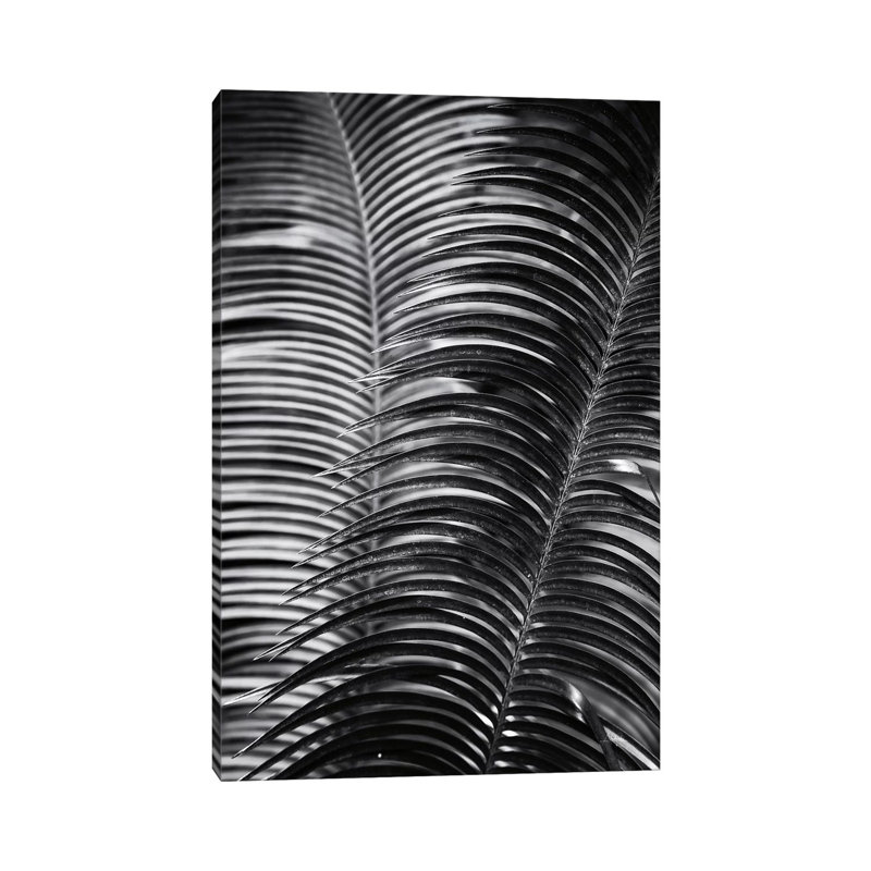 Tropical III by Aledanda - Wrapped Canvas Gallery-Wrapped Canvas Giclée, 20.32 cm H x 30.48 cm W