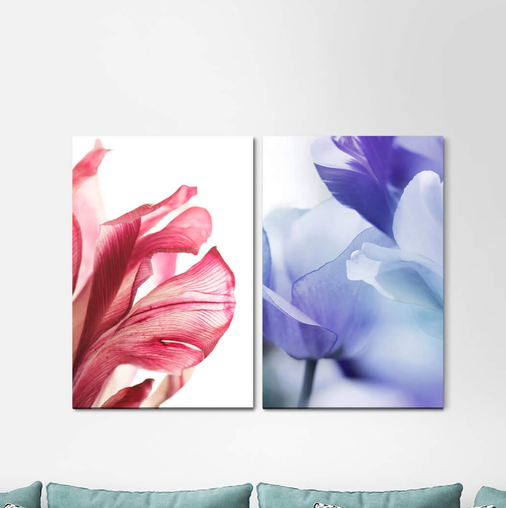 2-tlg. Leinwandbilder-Set - Fotografie „Orchid Tulips Blue Red Flowers Summer”