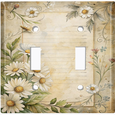 Couvercle de plaque d'interrupteur en métal; Bascule de bande US standard taille 2 - Daisy Vintage