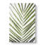 Plat Leaf - Wrapped Canvas-56664558
