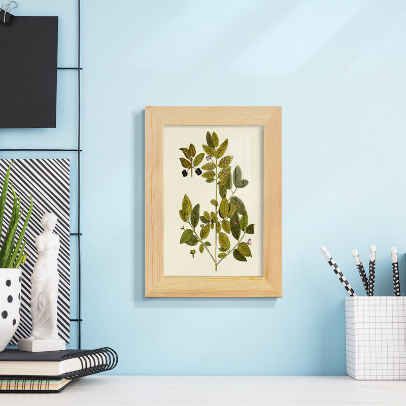 Olive Greenery VII, reproduction d'art encadrée, H 9 po x l 7 po x P 1 po, Naturel