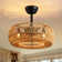 Erilynn 20'' Boho Caged Ceiling Fan with Light Kit and Remote Control Included