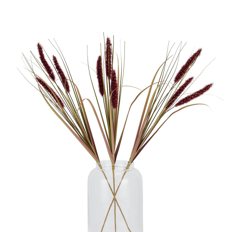 Anastasija Arrangement, Red