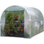 Polytunnel-1398390624