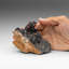 Vanadinite Crystals On Matrix From Mibladen, Atlas Mountains, Khénifra Province, Morocco