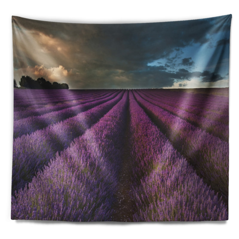 Tapisserie champ floral et ciel dramatique, H 32 po x l 39 po