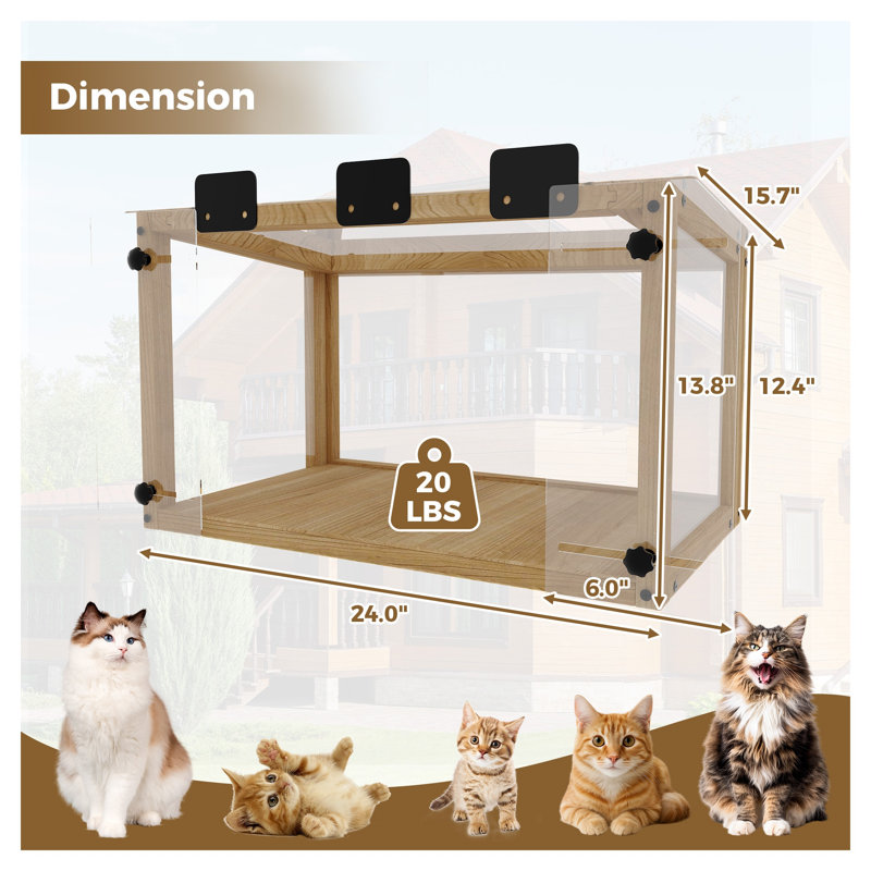 Fenêtre d'extérieur imperméable pour chats - Enceinte en bois massif et acrylique avec vue panoramique