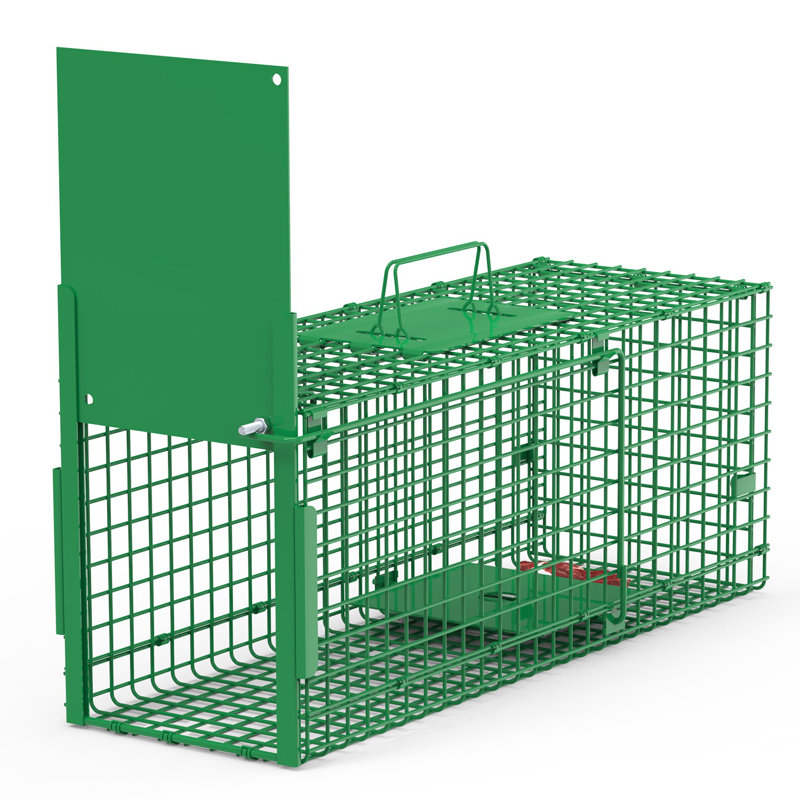 26x12x13in 1 Door Live Animal Trap, Green