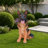 Lifelike German Shepherd Dog Statue