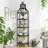 Aprie Corner Bookcase