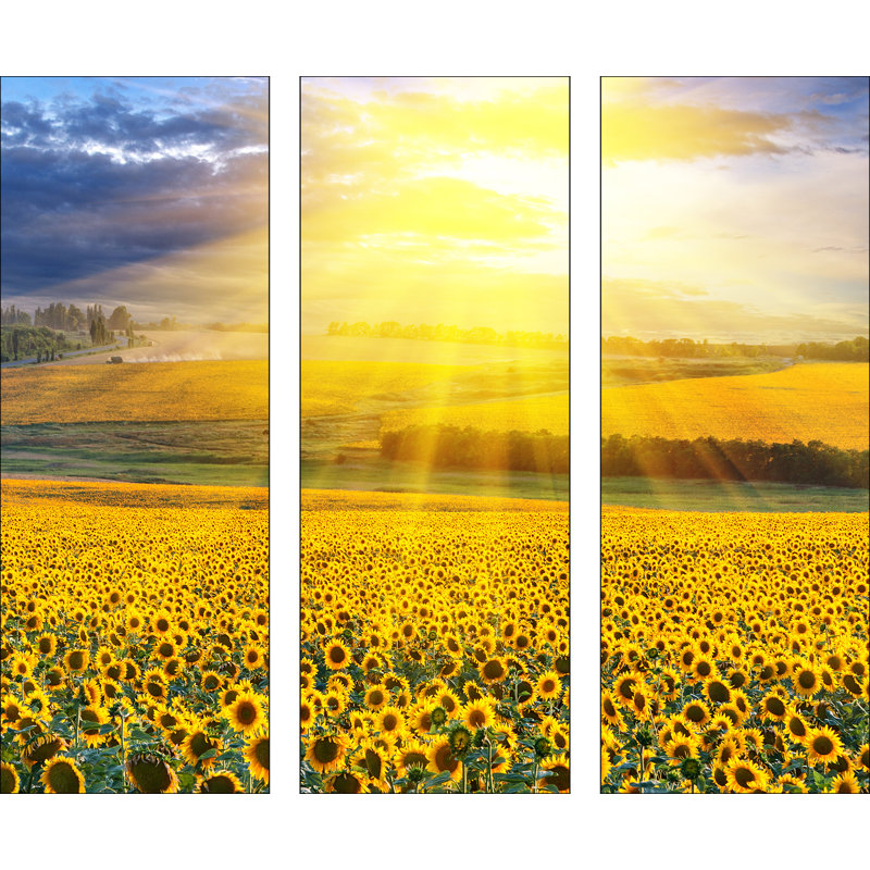 3 Piece No Frame Painting on Glass