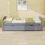 Un lit plateforme simple accompagné d'un lit gigogne sous le lit simple-274311416