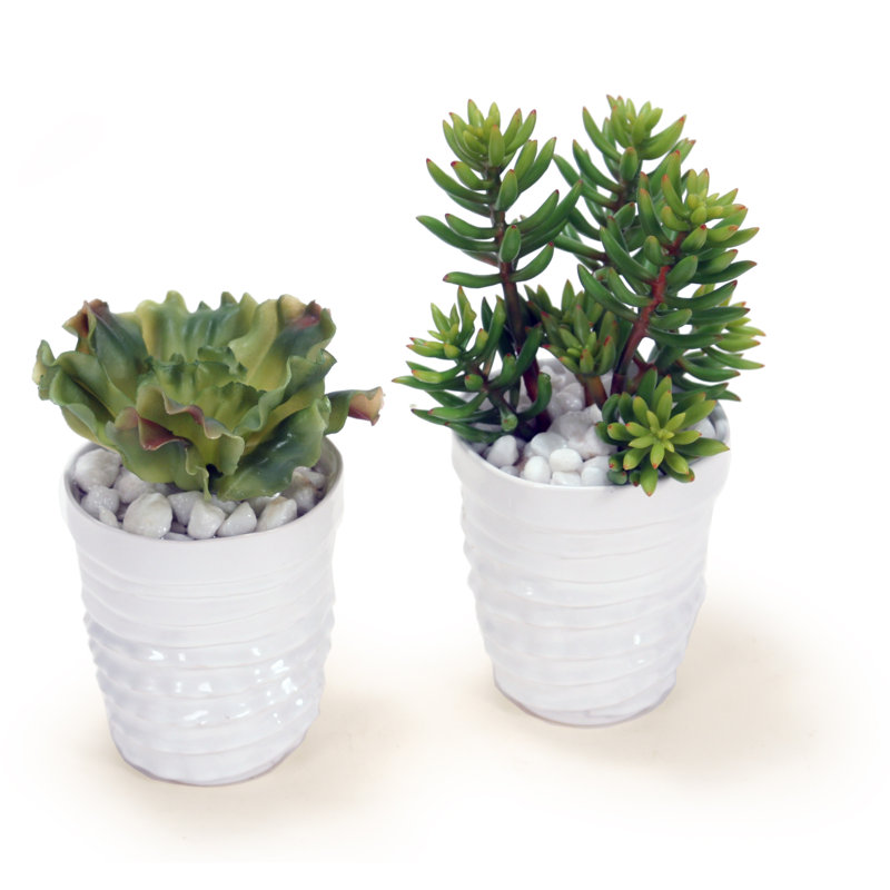10'' Faux Succulent in Ceramic Pot
