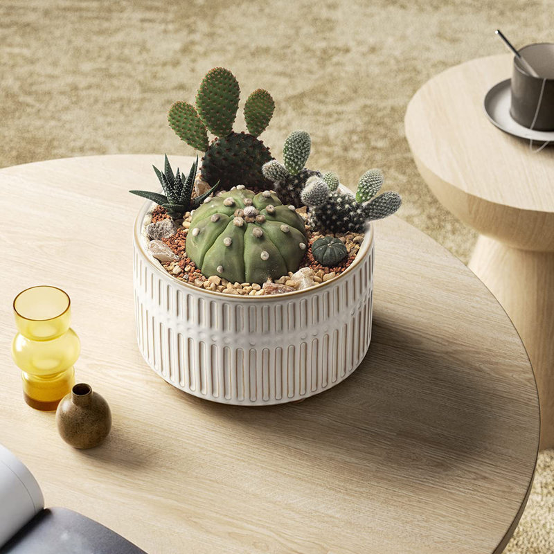 6,5 + 8 pouces pot en céramique avec trou de drainage, Glacis réactif blanc