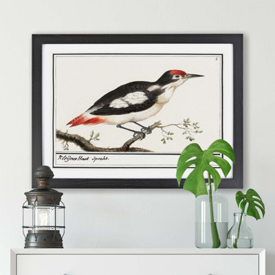 Lesser Spotted Woodpecker by A.B. de Boodt - Framed Print