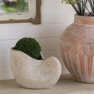 8.5X5.5X6.3" Sand And Cement Nautilus Shell Planter With Textured Beige Finish